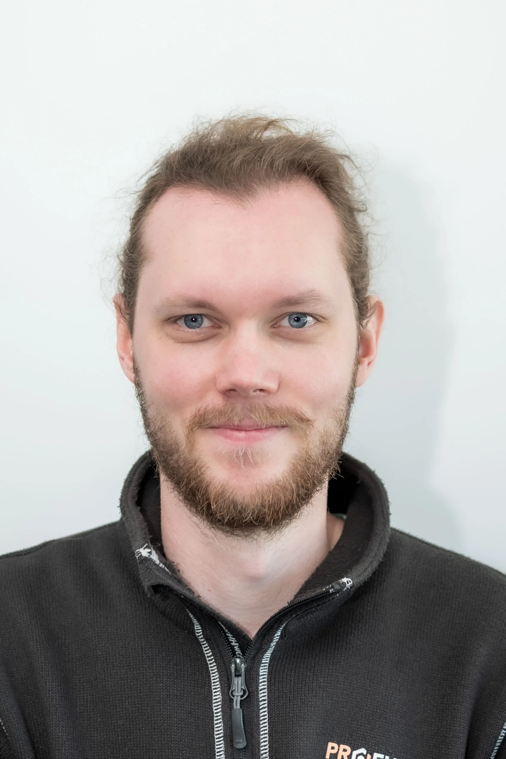 Teppo Majava, teletyöt