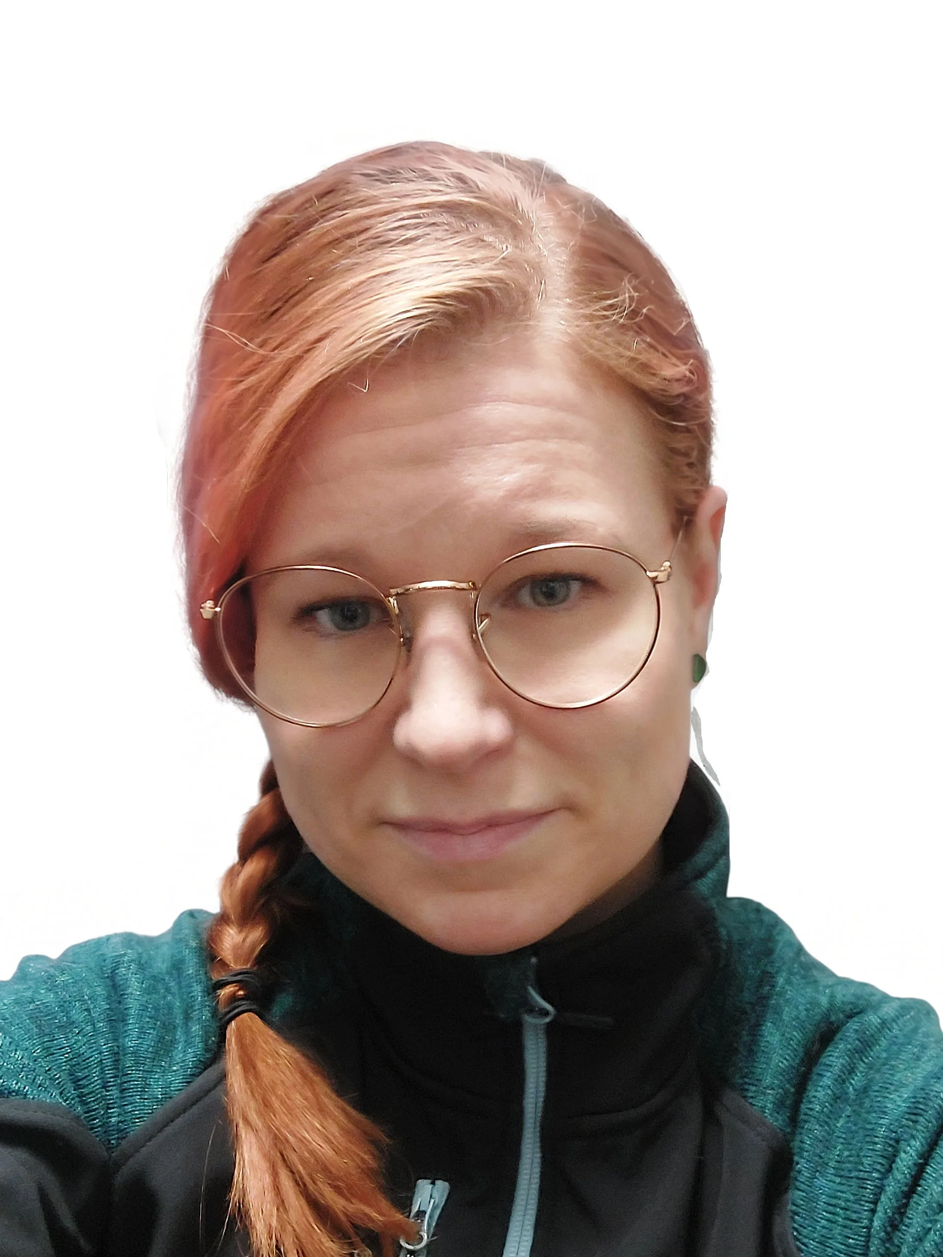 Soila Karjalainen, teletyöt