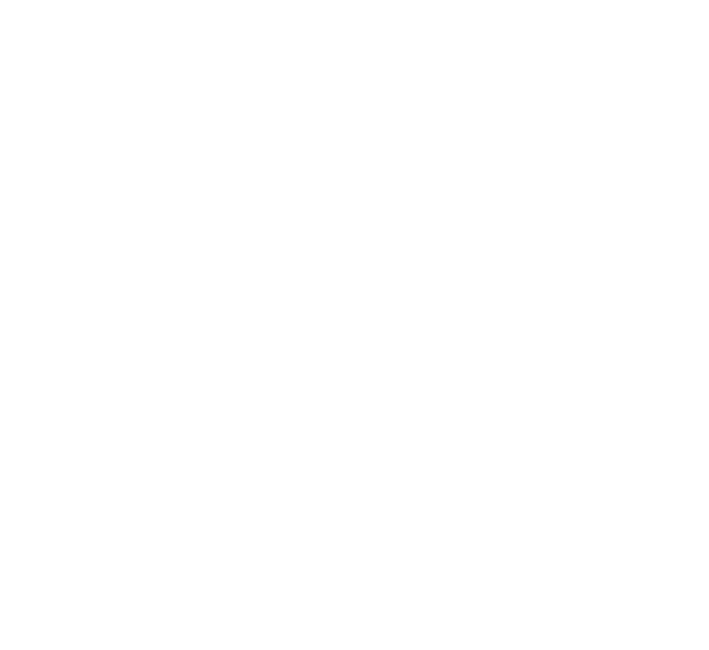 Santa's Hotel Sani